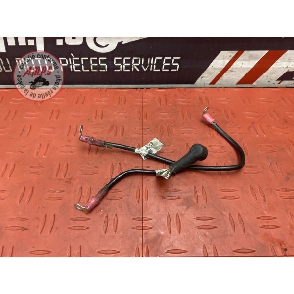 Cable de batterie 