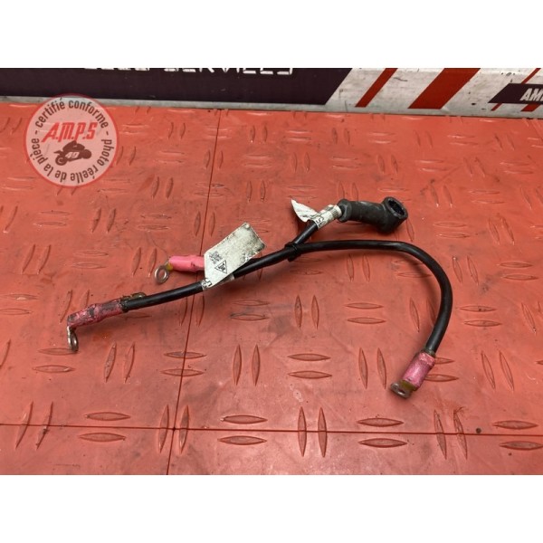 Cable de batterie 