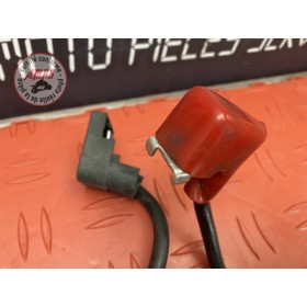 Cable de batterie 