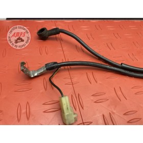 Cable de masse 