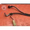 Cable de masse 