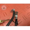 Cable de masse 