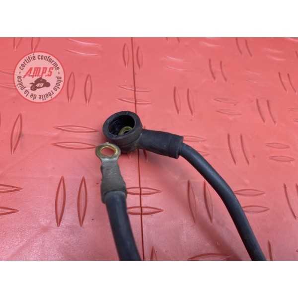Cable de masse 