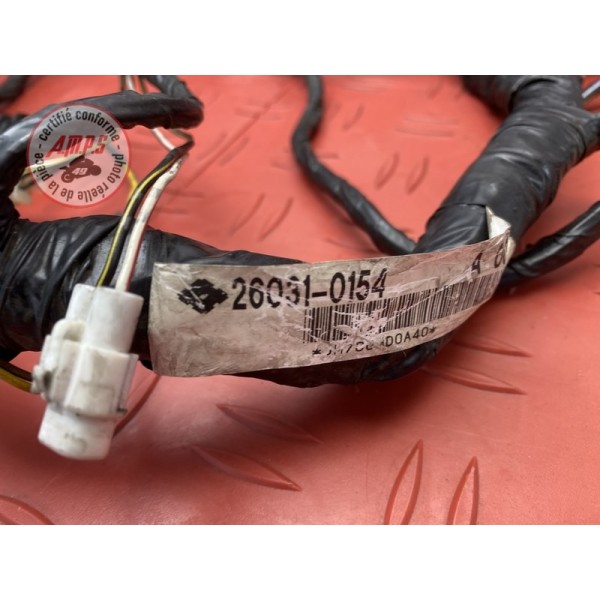 Faisceau électrique principale 
