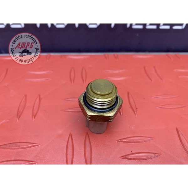 Sonde de radiateur 