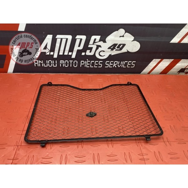 Grille de radiateur 