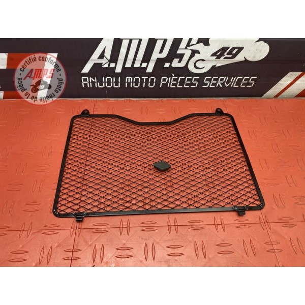 Grille de radiateur 
