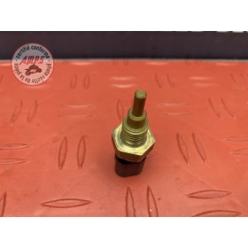 Sonde de température d'eau 