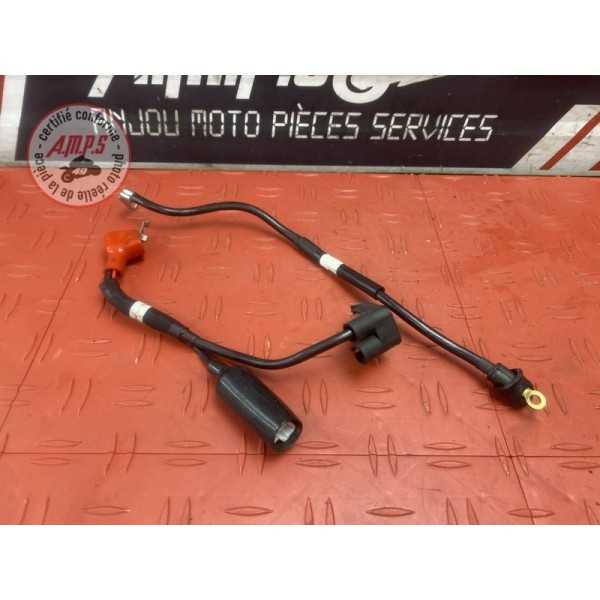Cable de batterie 