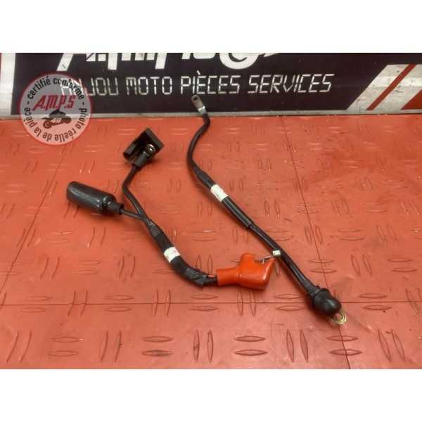 Cable de batterie 