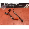 Cable de batterie 