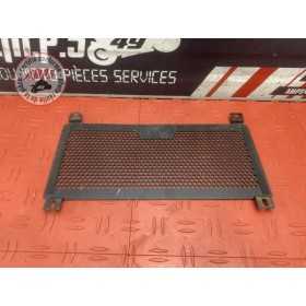 Grille de radiateur 