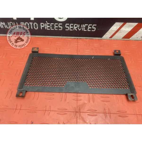 Grille de radiateur 