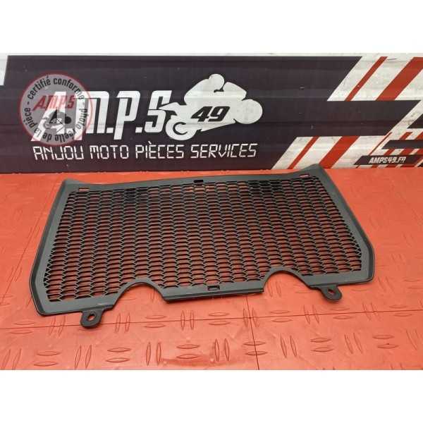 Grille de radiateur 