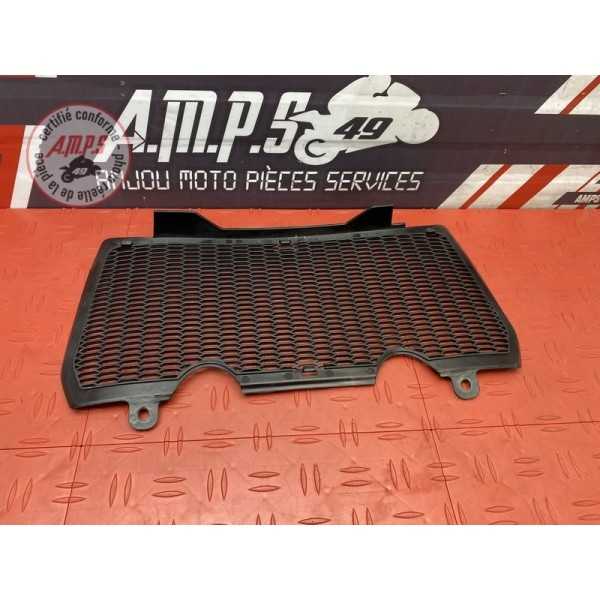 Grille de radiateur 
