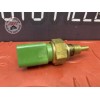 Sonde de température d'eau