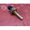 Sonde de température d'huile