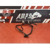 Cable de batterie 