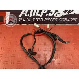 Cable de batterie 