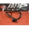 Cable de batterie 