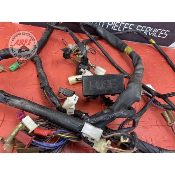 Faisceau électrique principale 