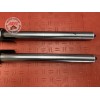 Paire de tube de fourche 