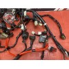 Faisceau électrique principale 