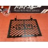 Grille de radiateur 