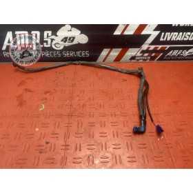 Cable de batterie Honda GL 1800 GOLDWING 2001 à 2011 
