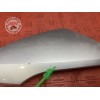 Cache plastique sur tete de fourche gauche 