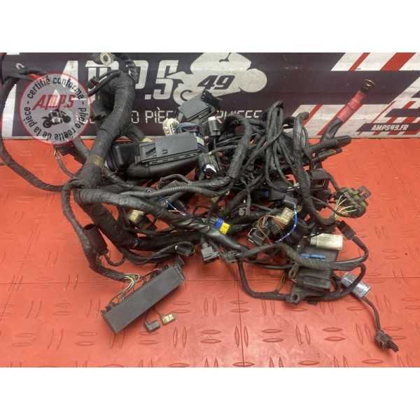 Faisceau électrique principale R1200 RT 2005 à 2009 