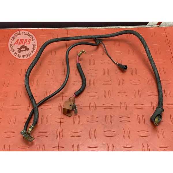 Cable de batterie 