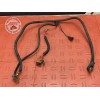 Cable de batterie 