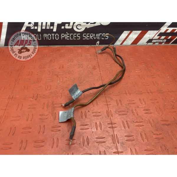 Cable de masse 
