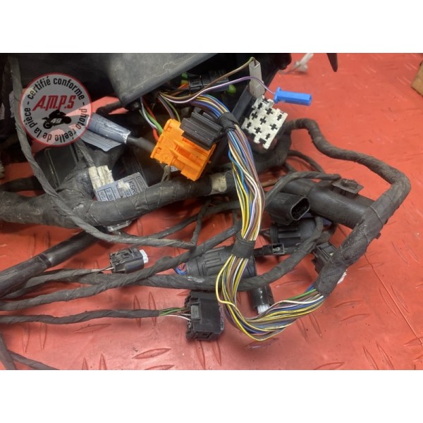 Faisceau électrique principale 
