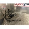 Araignée 