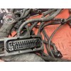 Faisceau électrique principale