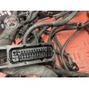 Faisceau électrique principale