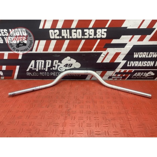 Guidon 
