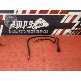 Cable de batterie 
