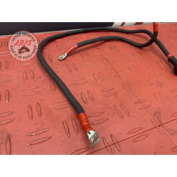 Cable de batterie 
