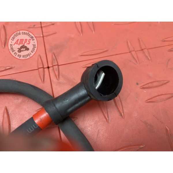 Cable de batterie 