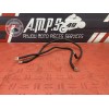 Cable de masse 