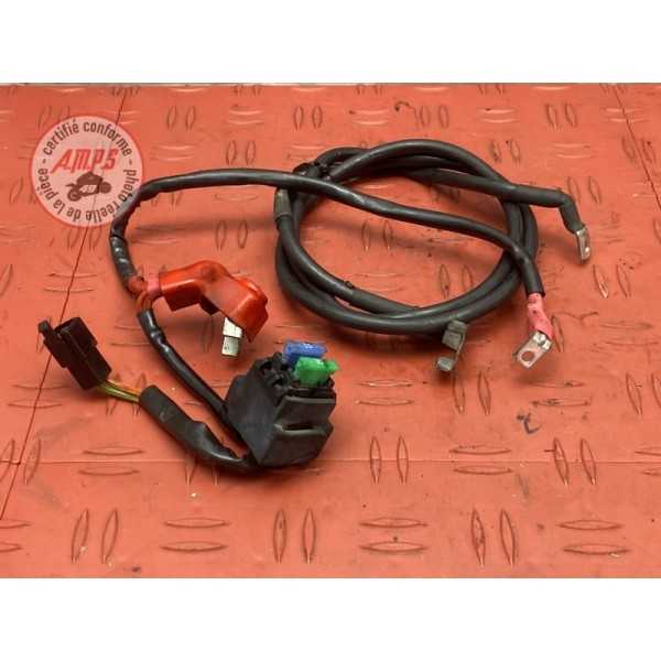 Cable de batterie 
