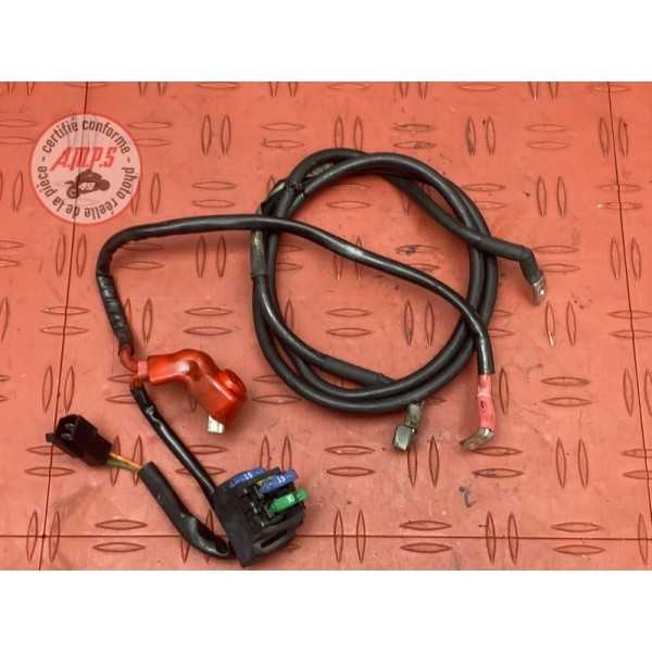 Cable de batterie 