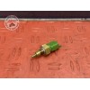 Sonde de température d'eau 