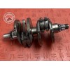 Vilebrequin avec bielles 