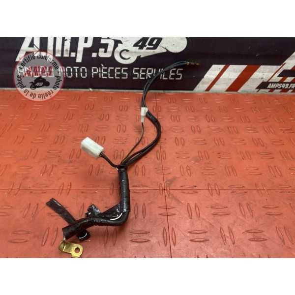 Cable de masse 