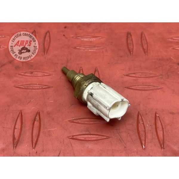 Sonde Temperature eau 