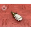 Sonde Temperature eau 